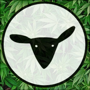 Original cover for 420 Special